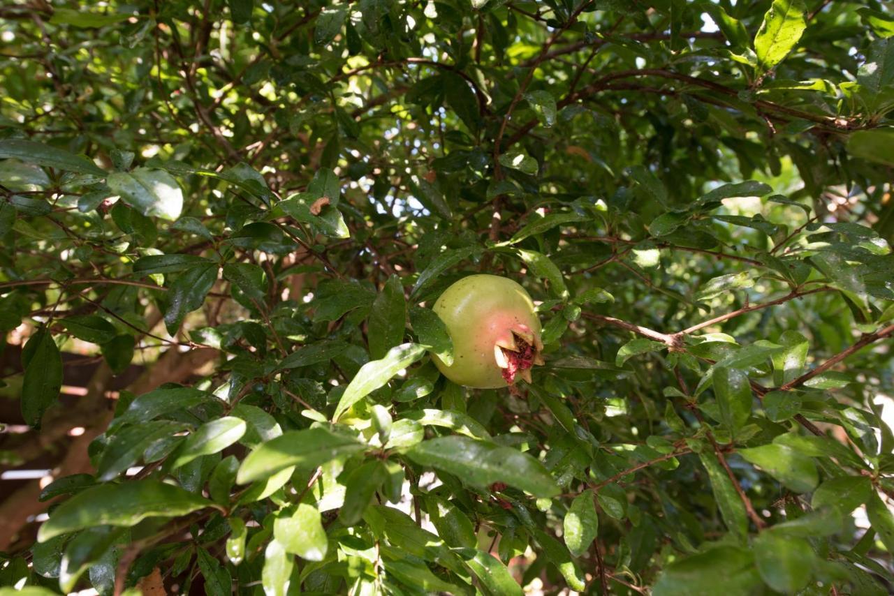 Appartamento Casa Dina Lefkáda Esterno foto