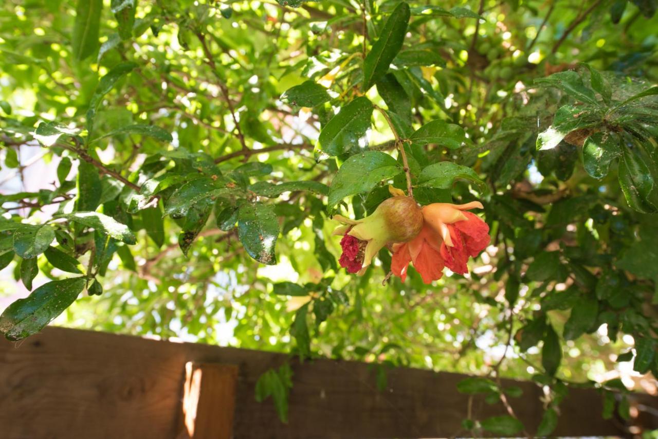 Appartamento Casa Dina Lefkáda Esterno foto